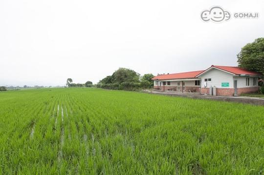 Tianfu Mian-Nao Education Leisure Farm 아파트 외부 사진